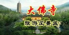 她是骚逼操了她的屄视频中国浙江-新昌大佛寺旅游风景区